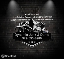 Logo for Dynamic Junk & Demo