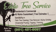 Avatar for Eddy Tree Services - Unlicensed Contractor
