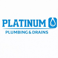 Avatar for PLATINUM PLUMBING AND DRAINS LLC