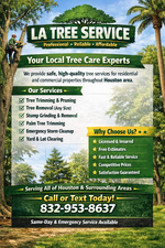 Avatar for LA Tree Services