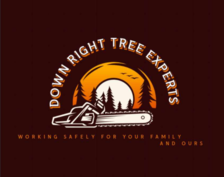 Avatar for Down Right Tree Experts