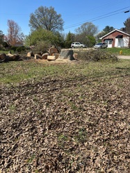 K&B Tree Service LLC logo