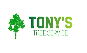 Tony's Tree Service logo
