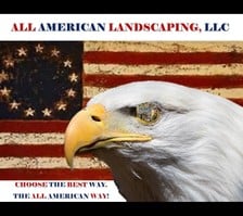Logo for All American Landscaping