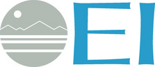 Avatar for The E I Group, Inc.