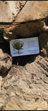 Rooted Arbor Tree Care, LLC logo