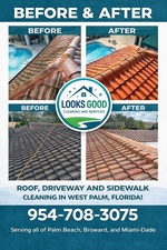 Avatar for Good Look Roof Cleaning & Services