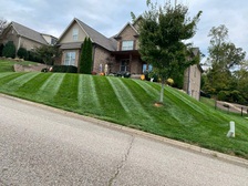 Logo for David's Landscaping