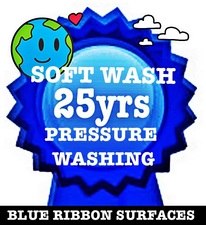 Logo for Blue Ribbon Surfaces Pressure Washing