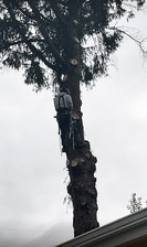 East Line Tree and Home Service LLC logo