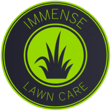 Logo for Immense Services, LLC