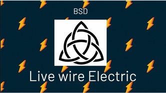 Life Wire Electric logo