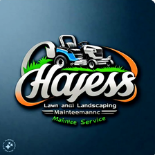 Avatar for Hayes lawn service and landscaping maintenance