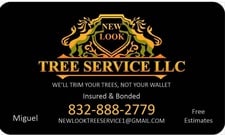 Avatar for New Look Tree Service