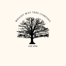 Logo for Wright Way Tree Company LLC