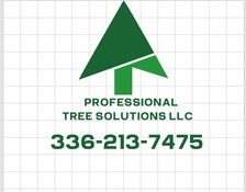 Avatar for Profesional Tree Solutions LLC