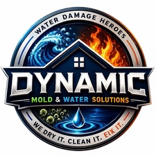 Logo for Dynamic Mold & Water Solutions Inc