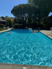 Aqua Bright Pool and Spa Service logo
