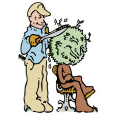 Garden View, Inc. logo