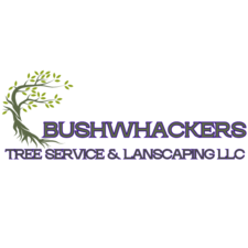 Logo for Bushwhackers Tree Service & Landscaping, LLC