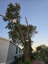 Avatar for United Property Solutions LLC