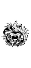 Logo for Water Snake Drain Service LLC