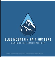 Avatar for BLUE MOUNTAIN RAIN GUTTERS