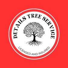 Avatar for Details Tree Service, LLC