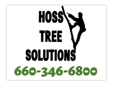 Avatar for Hoss Tree Solutions LLC