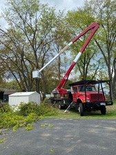 Avatar for Rileys Tree Removal, LLC