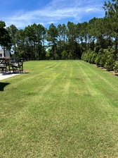 Avatar for Murphy's Lawn Care