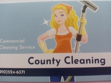 Logo for Country Cleaning