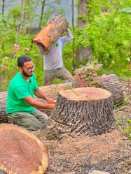 BlueSky Tree Service logo