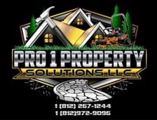 Avatar for Pro 1 Property Solutions
