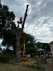 RJ's Tree Surgeons logo