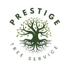 Avatar for Prestige Tree Service