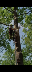 KZ Tree And Outdoor Services LLC logo