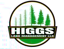 Avatar for Higgs Land Management