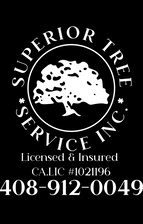 Avatar for Superior Tree Service Inc