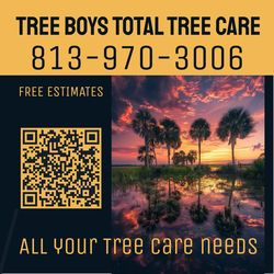 Tree Boys Total Tree care logo