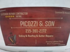 Avatar for Picozzi & Son
