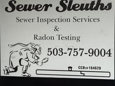 Avatar for Sewer Sleuths