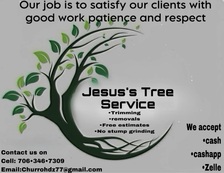 Avatar for Churro Tree Services
