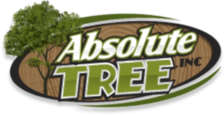 Logo for Absolute Tree Inc
