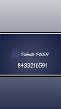 Avatar for Palmetto Push