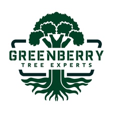 Avatar for Greenberry Tree Experts, LLC