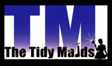 The Tidy Maids logo