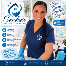 Logo for Sandras Effective Cleaning