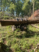Avatar for Custom Tree Solutions