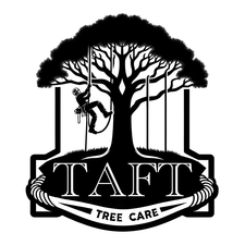 Avatar for Taft Tree Care